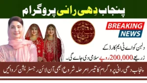 Punjab Dhee Rani Program Phase 3 Online Registration Guide